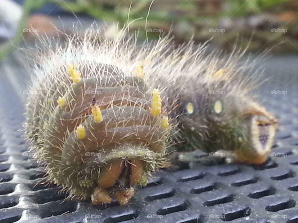 the ugly turns to beauty