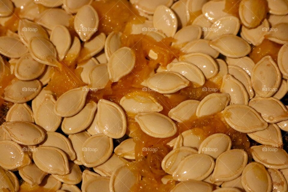 Pumpkin Seeds