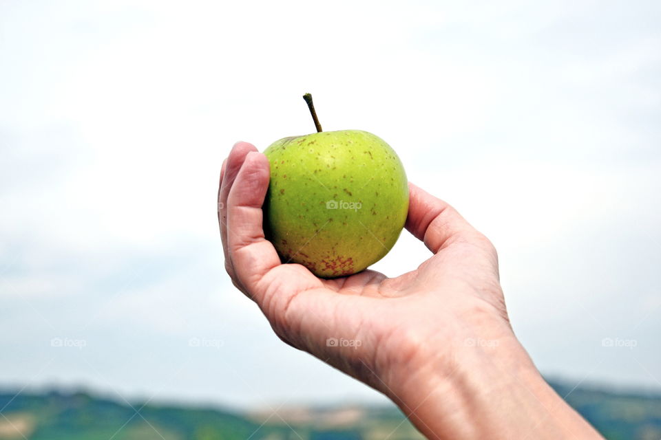 Hand holding hand apple