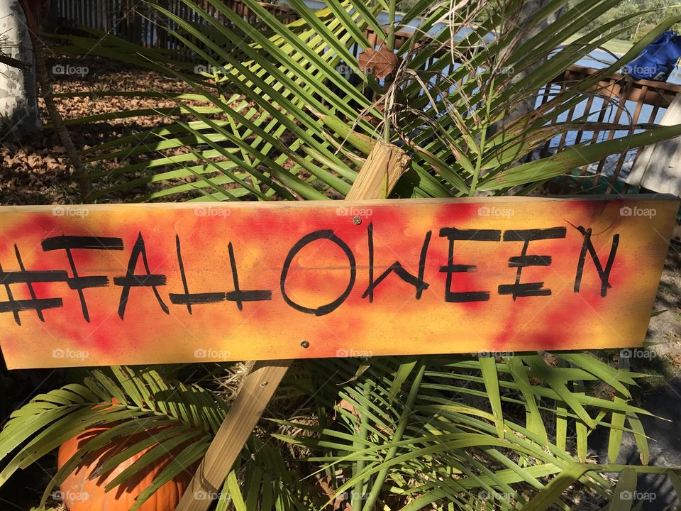 Falloween sign for autumn and Halloween season.