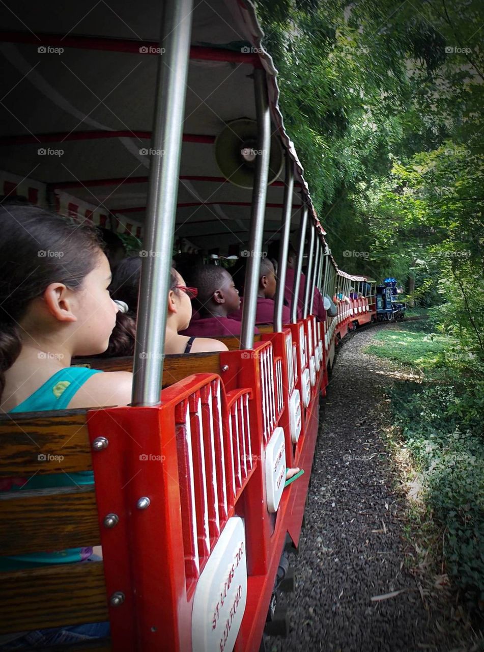 Zoo Train