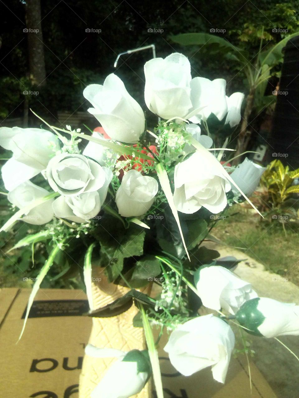 real beauty is in the eyes of the beholder an when you look at this picture you see true beauty.