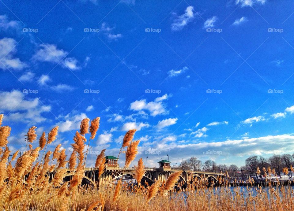 Winter harbour...