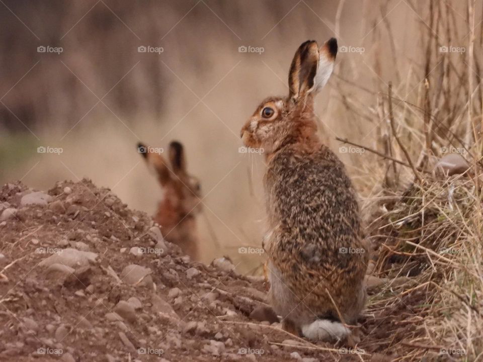 Standing puzzled I don't know why