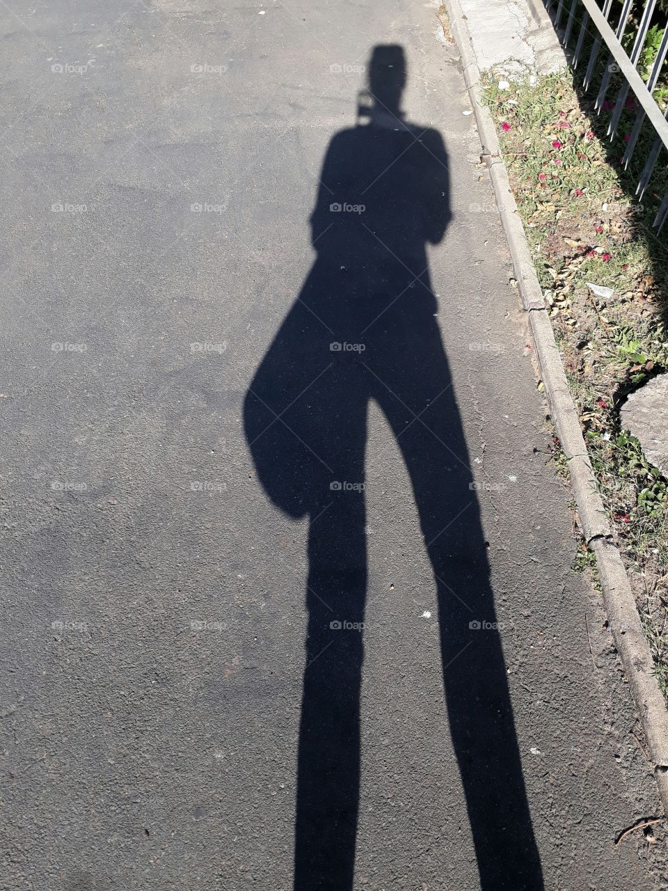 My shadow