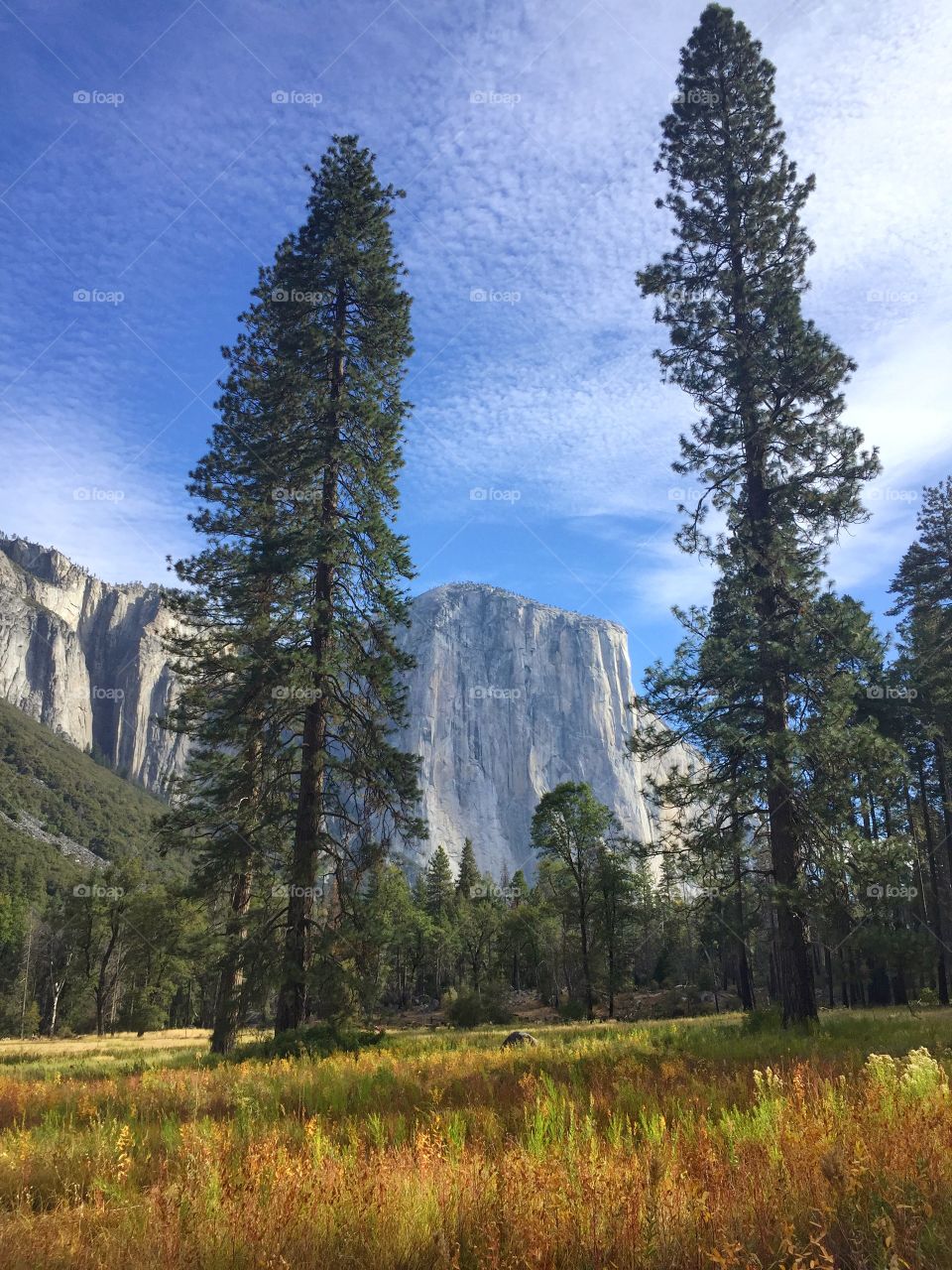 El Capitan in Yosemite National Park is one of the most majestic sights I have ever experienced in my life! The whole park is just breathtaking 