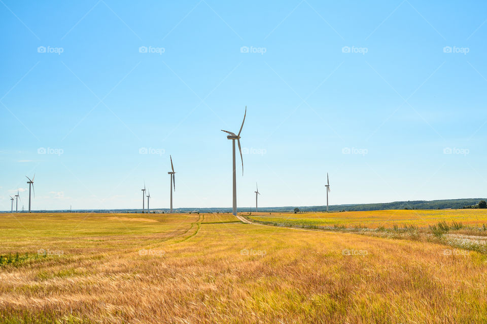 Windmills farm