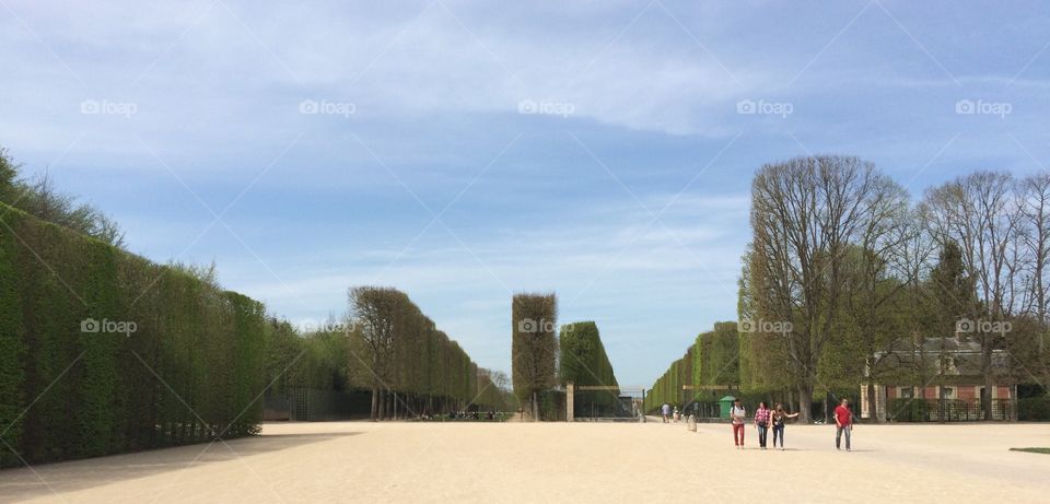 Palace grounds of Versailles
