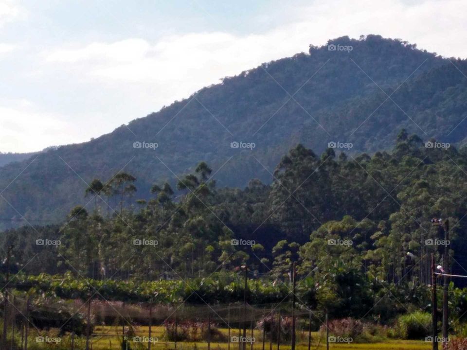 Localidade de Santo Antônio em Rio dos Cedros, SC, Brasil.