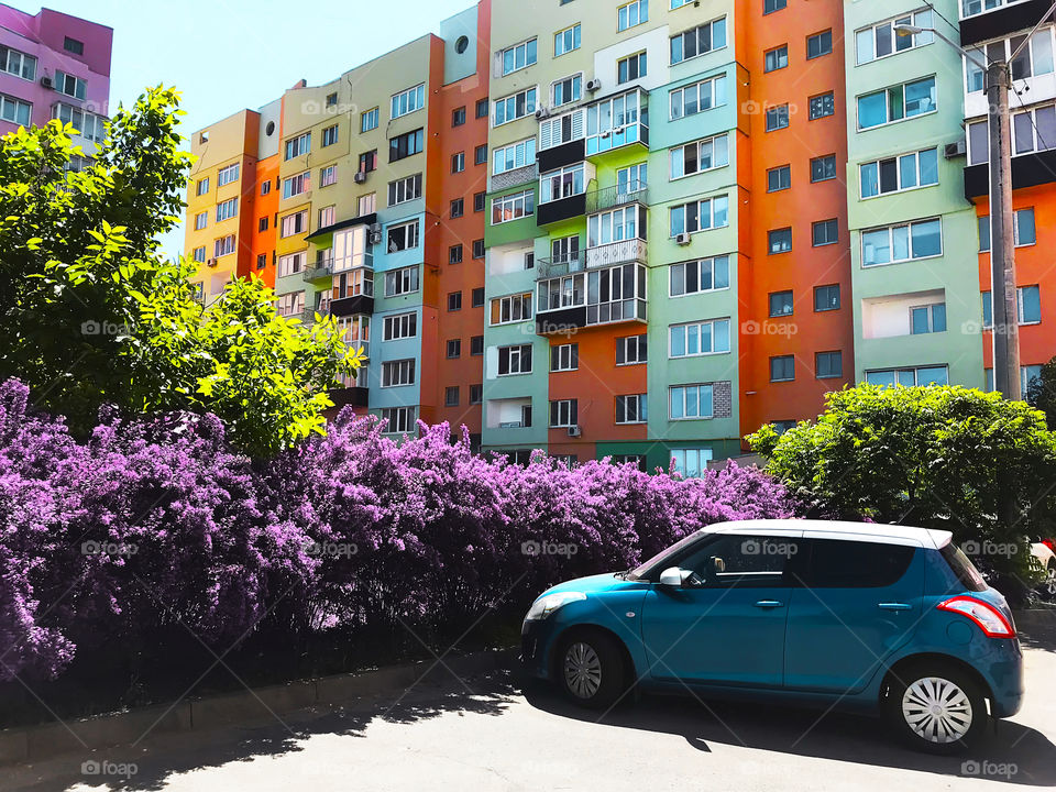 Blue car standing in front of a Colorful modern building with flowering backyard 