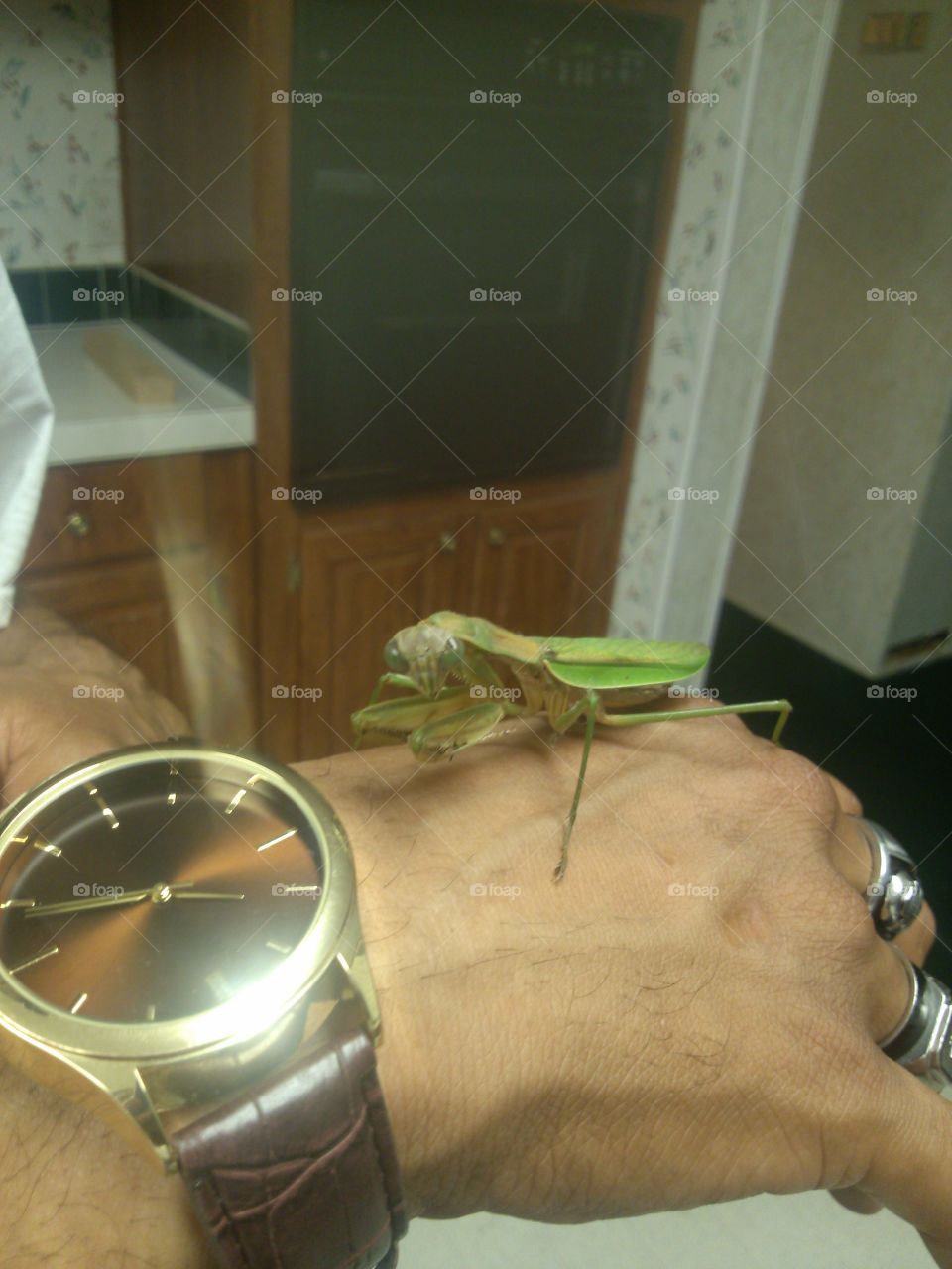 mantis on brother