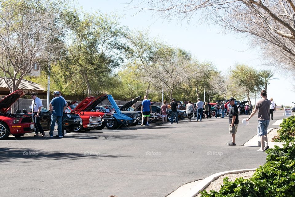 Row of classic cars at the car show