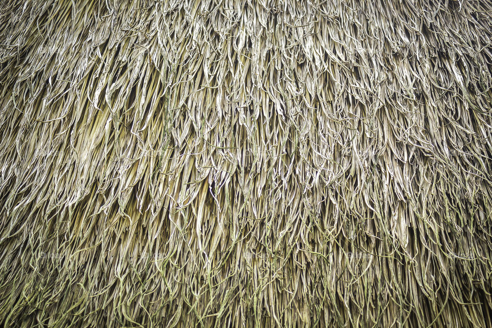 Texture and pattern of grasses thatch roof