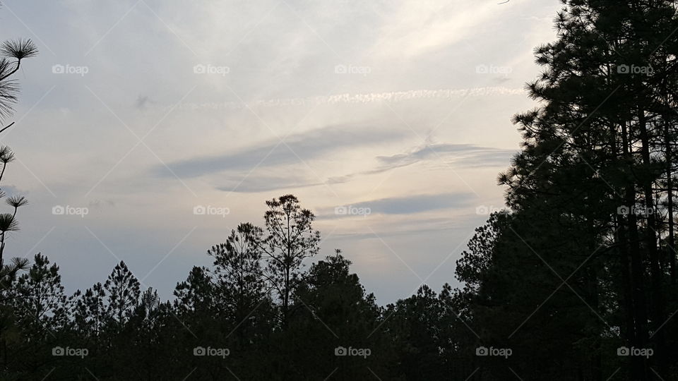 Streaks in the sky