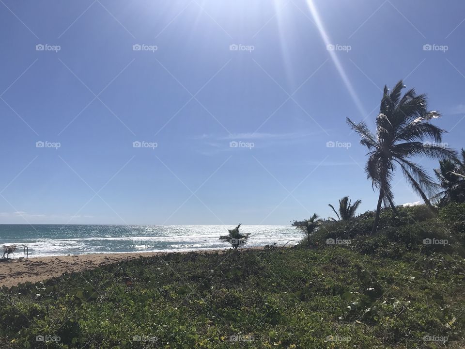 Beach meets grass, rays of sunshine, Dominican Republic 