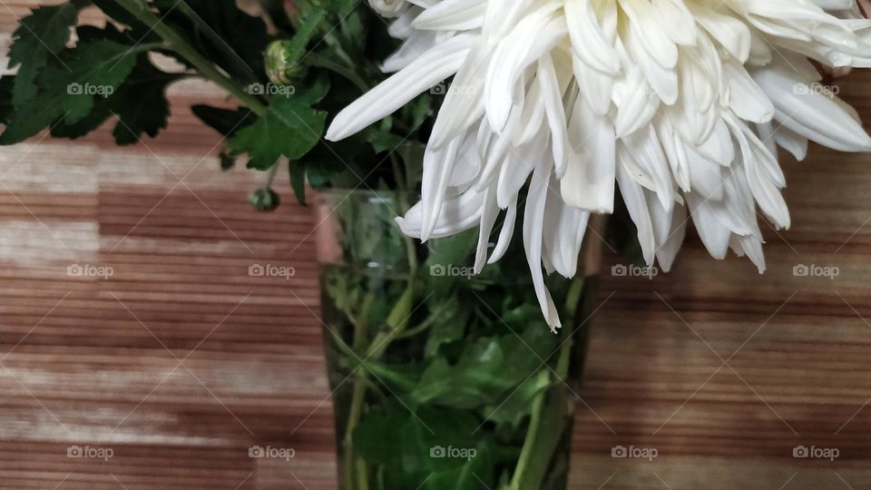 flowers in a vase