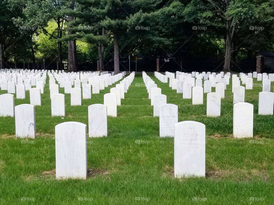 Rows of white grave markers against green grass in a cemetery in Memphis