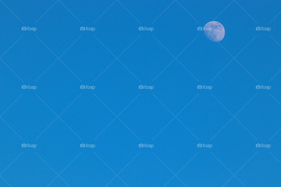 moon in the day light