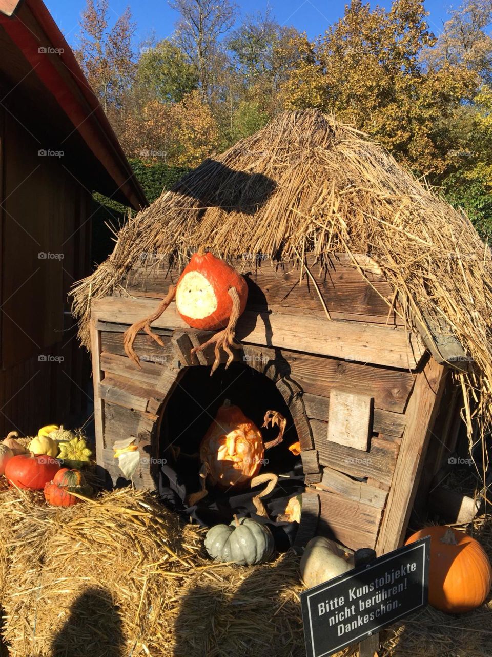 Do you see the little mouse? 