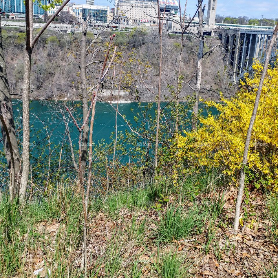 A view of Canada from the USA