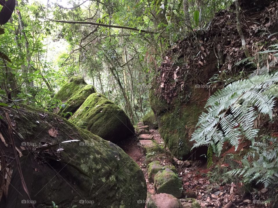 Nature, rocks, track