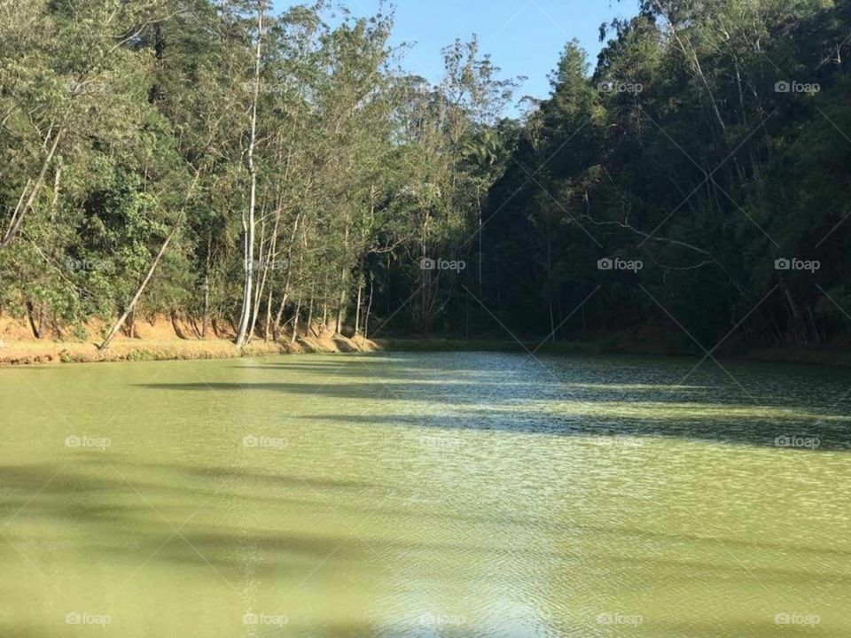 Belezas da natureza.