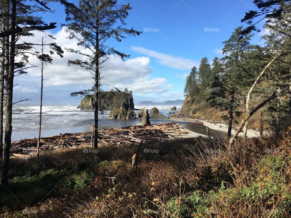 Scenic view of beach