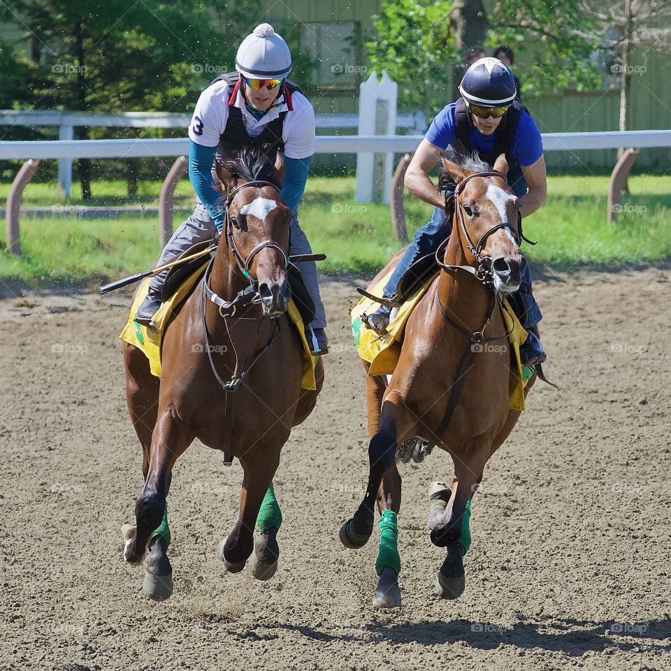 Great Horse Racing Photos by Fleetphoto