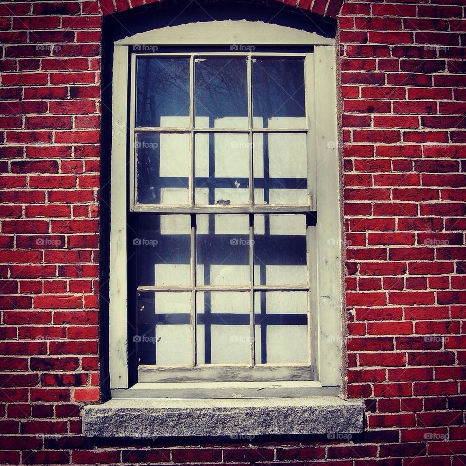 Window