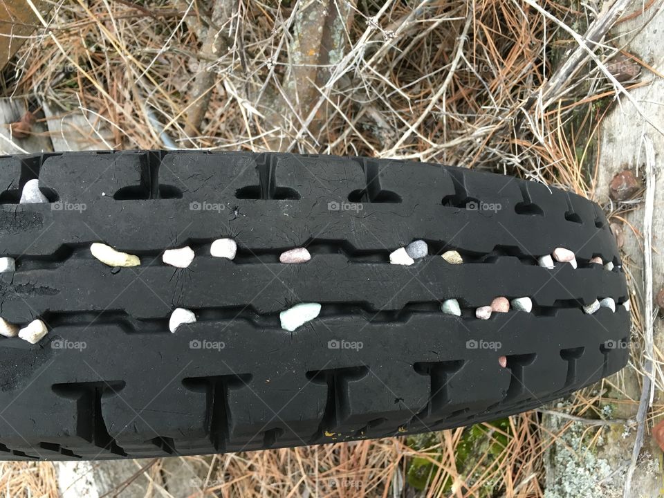 Rocks stuck in an old tire