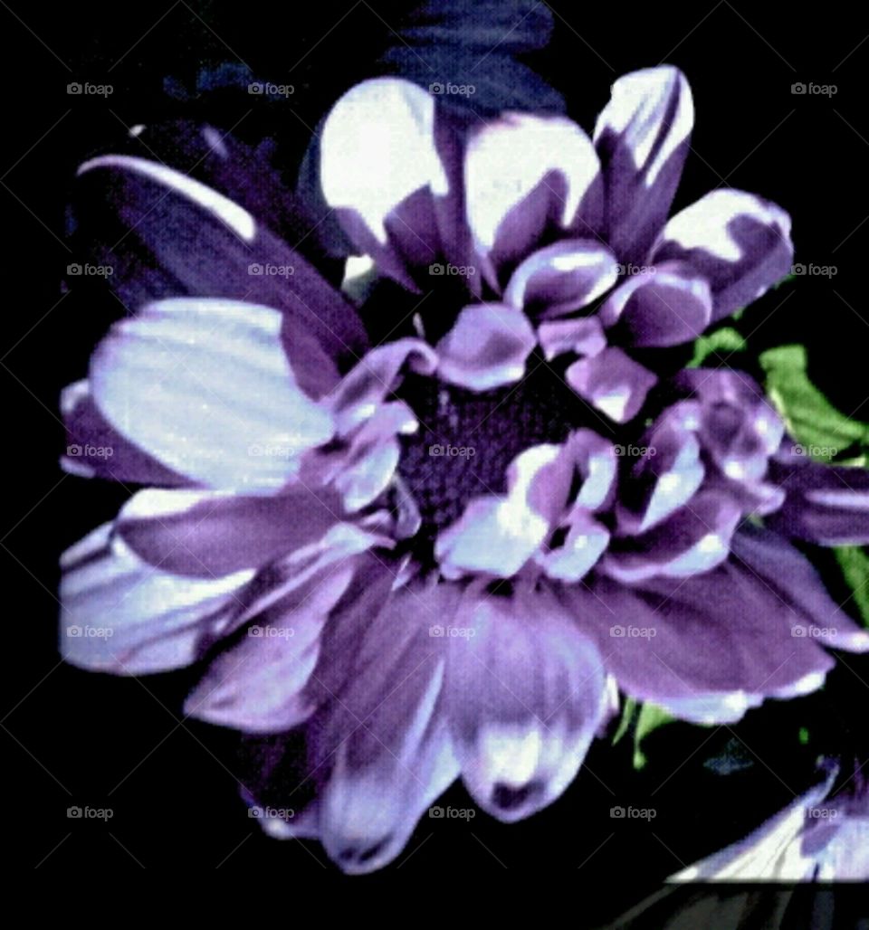 imagine it. lighting effects