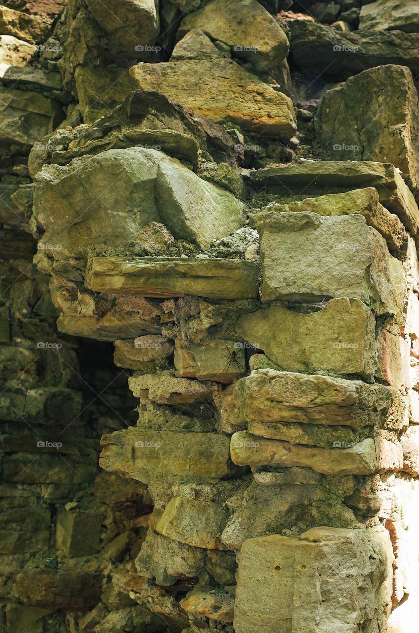 Scenes from my hike at Tiffany Falls, Hamilton, Ontario, Canada. Look for the spider.