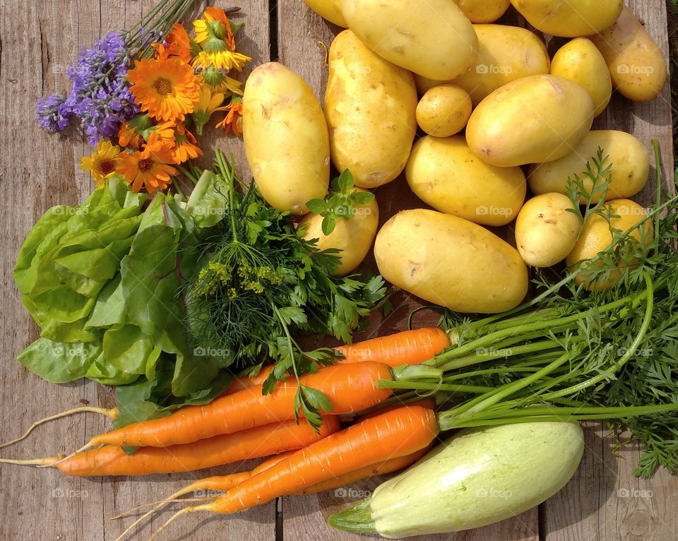 Summer time - harvest time