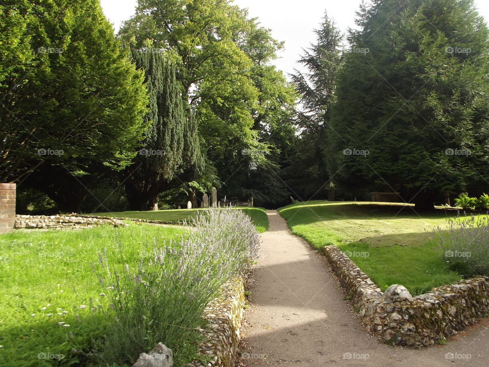 A Walk In The Church Garden