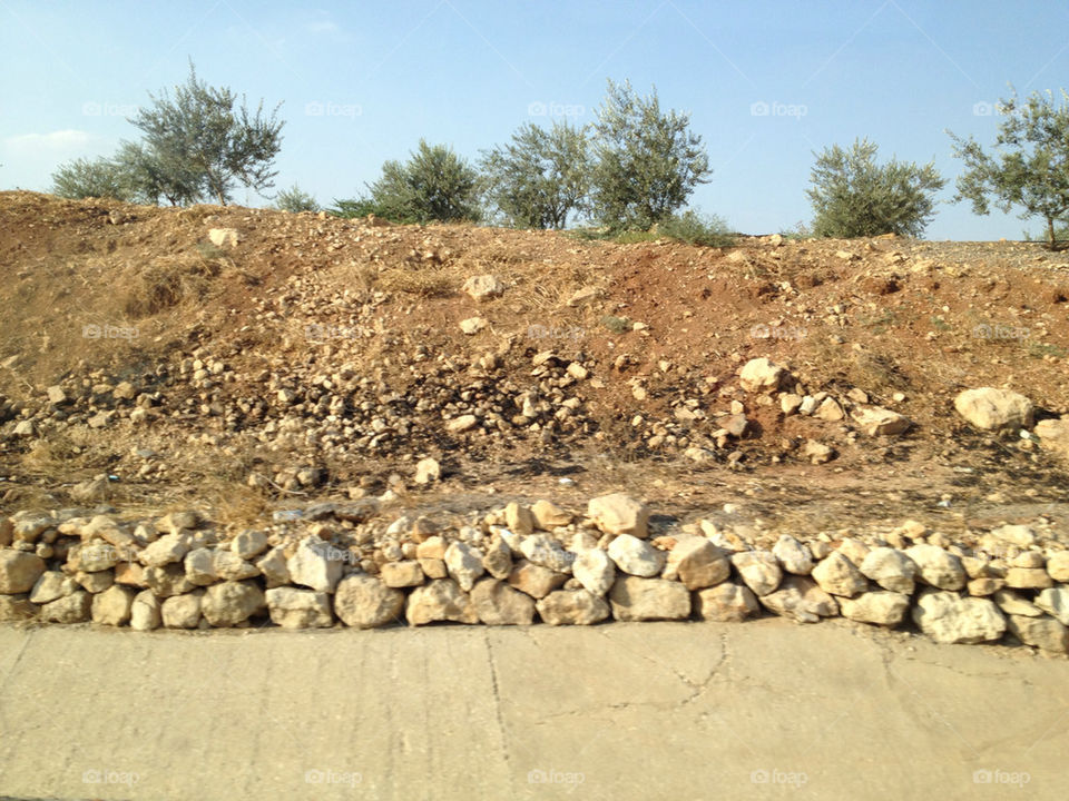 sky blue tree sand by a.bilbaisi