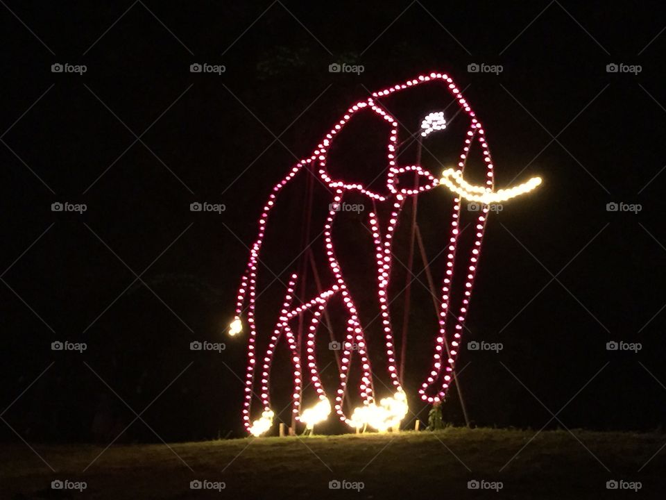 Light elephant . Light show in the Zoo at night. 