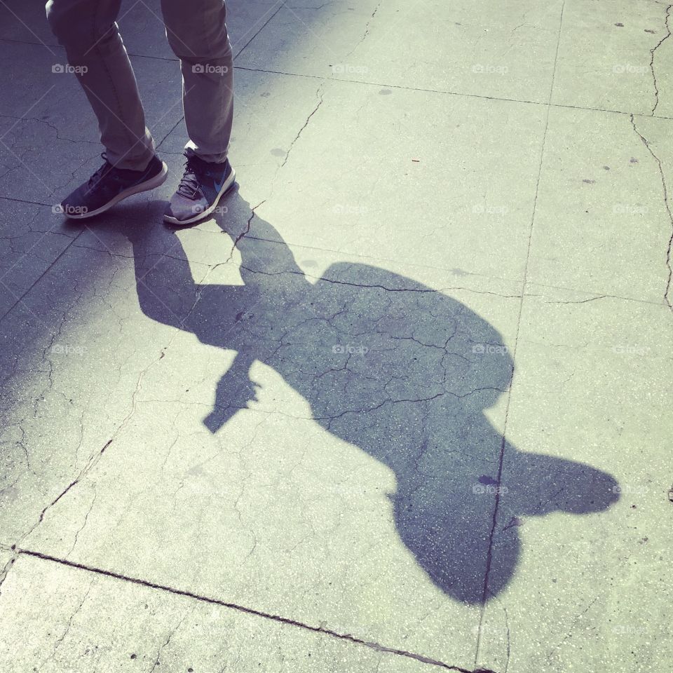 Shadow  