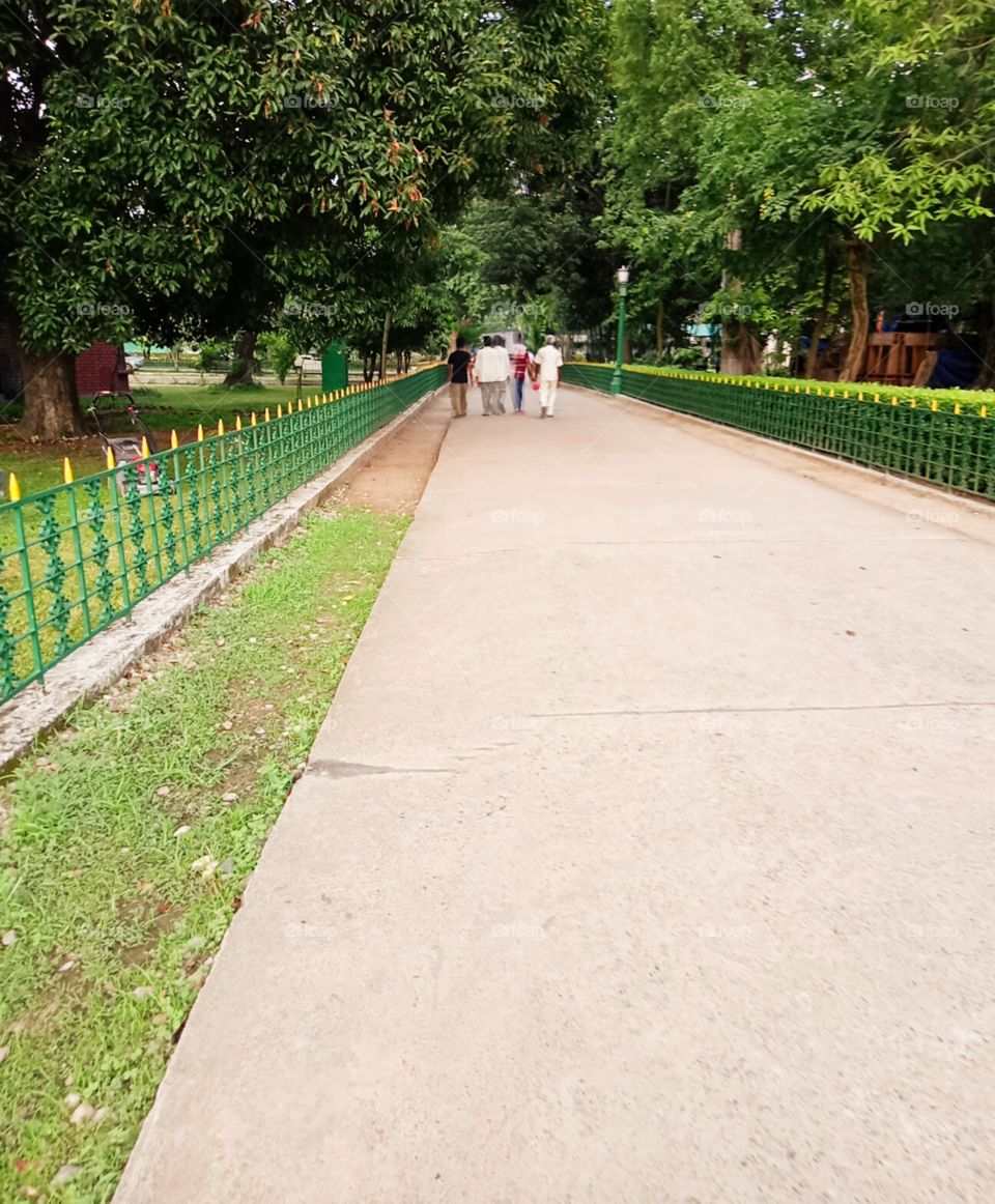 enjoyment in walking