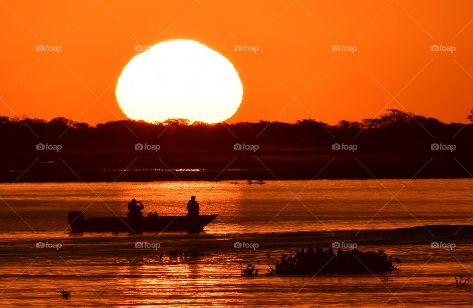 PANTANAL MS BRAZIL