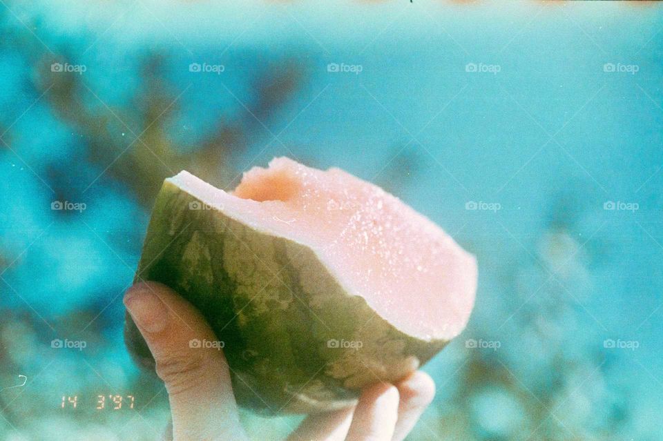 Analog photo of a yellow watermelon. We see a hand holding a eaten yellow watermelon, melancia Amarela.