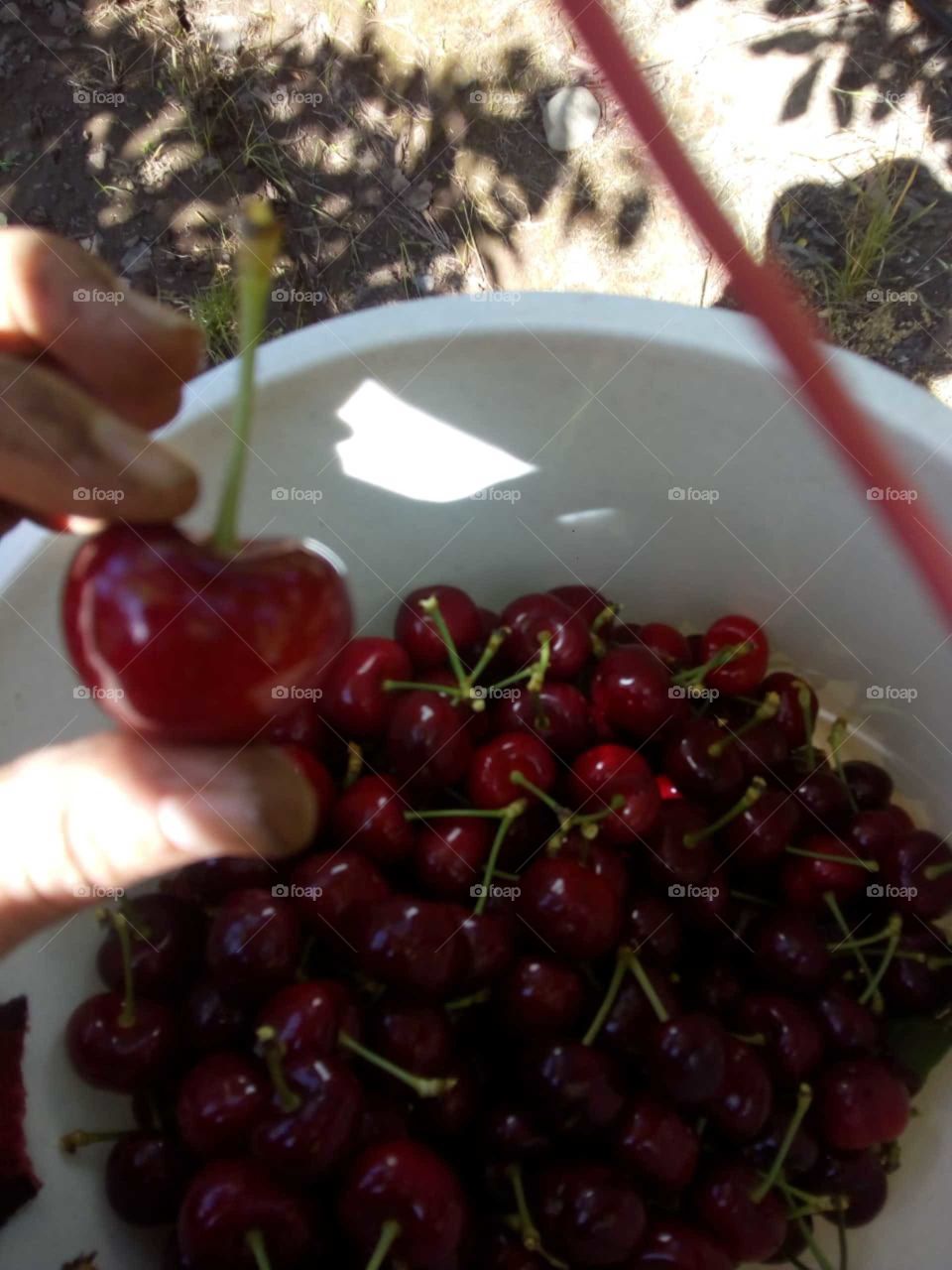 cereza para exportar