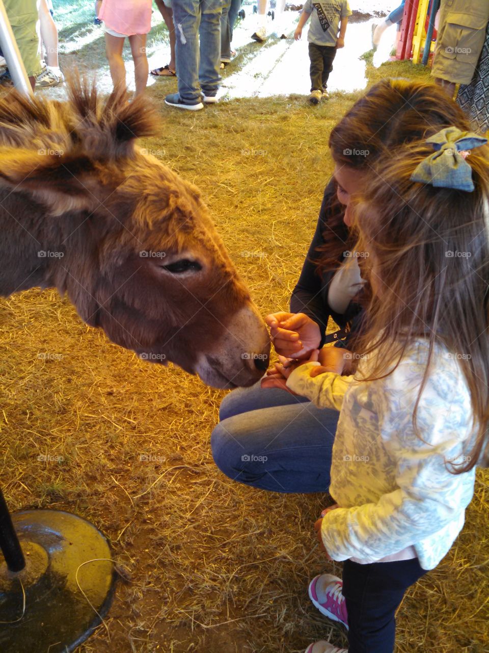 First time at the petting zoo. A mother and daughter feeding a donkey at a petting zoo