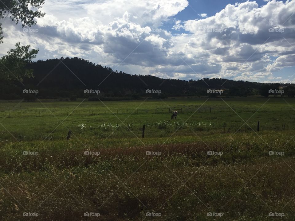 Landscape, No Person, Agriculture, Grassland, Cropland