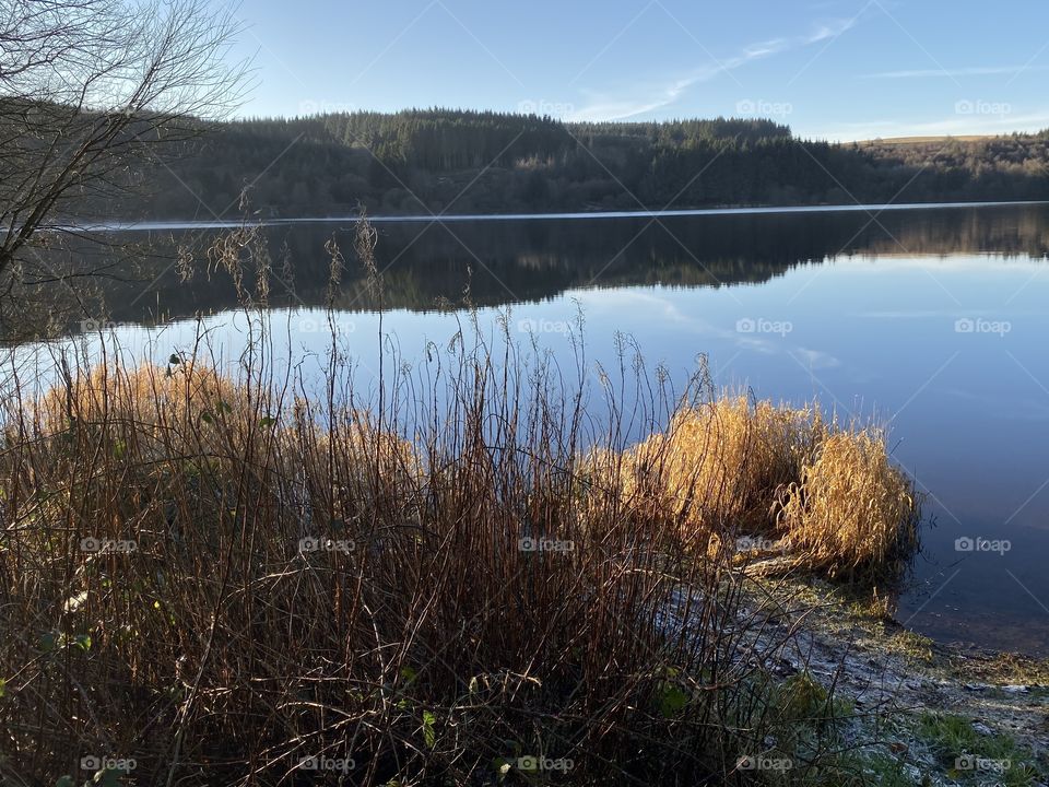Beautifully settled lake with perfect reflection. 
