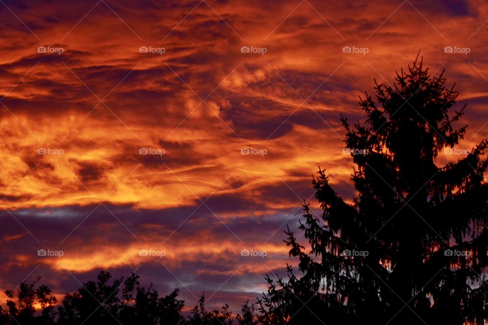 Sunset - clouds 