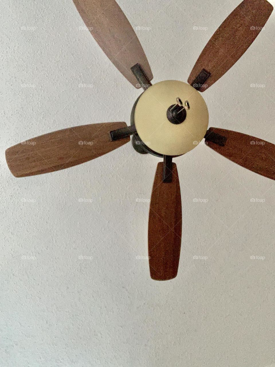 Ceiling fan 