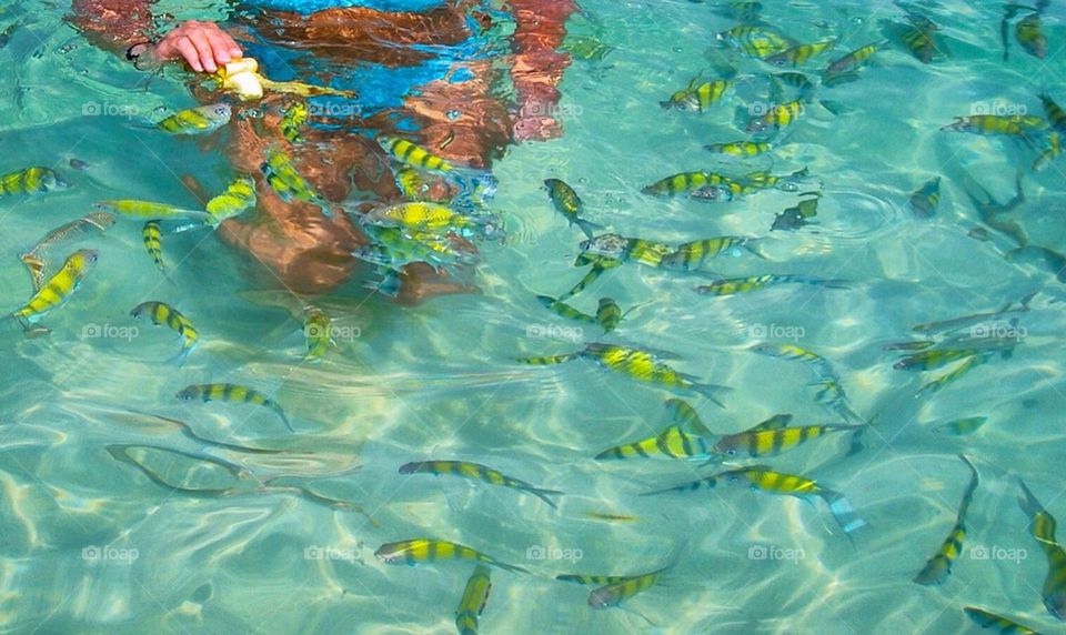 Feeding fish in Thailand