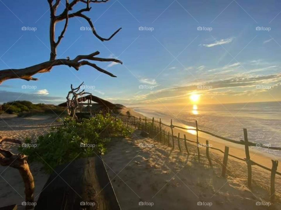 Clearing up the old Pictures Galary and thought my Foap friends might like this ..let's see