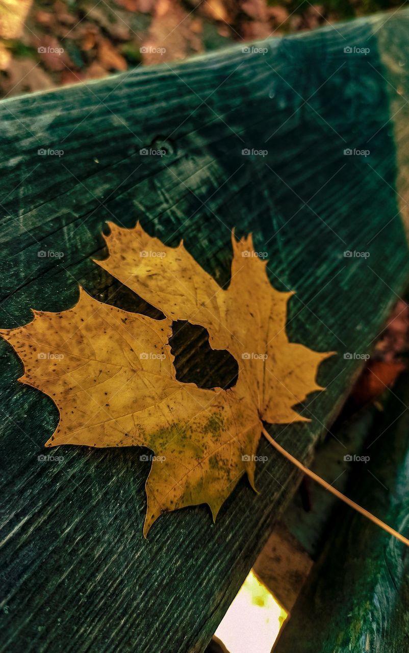 The heart of mother nature