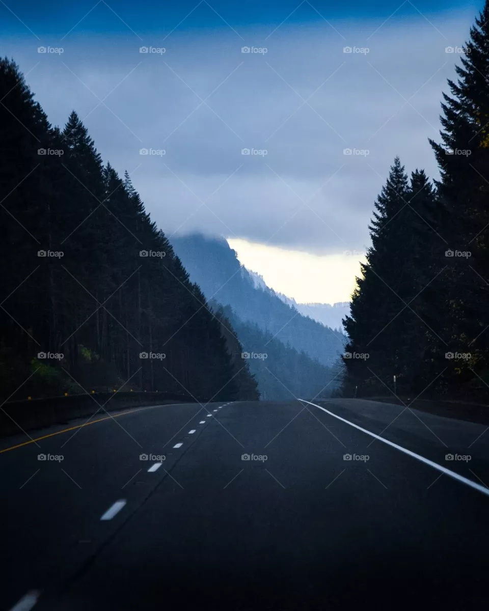 road's with beautiful trees